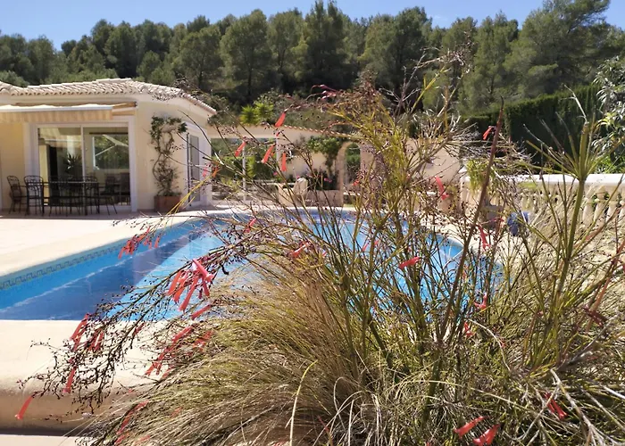 Luxueuse دينايا